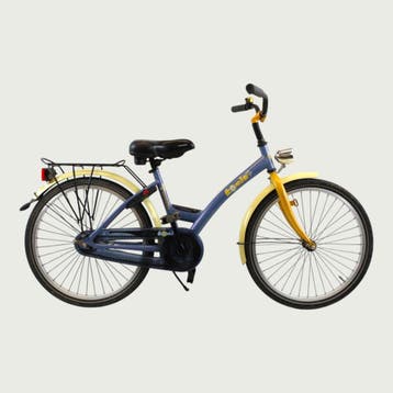 Batavus kinderfiets 22 inch, Ophalen of Verzenden, Gebruikt, Batavus