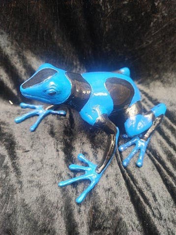 sculptuur, Blue-backed poison frog - 17 cm - Koud geverfd, Antiek en Kunst