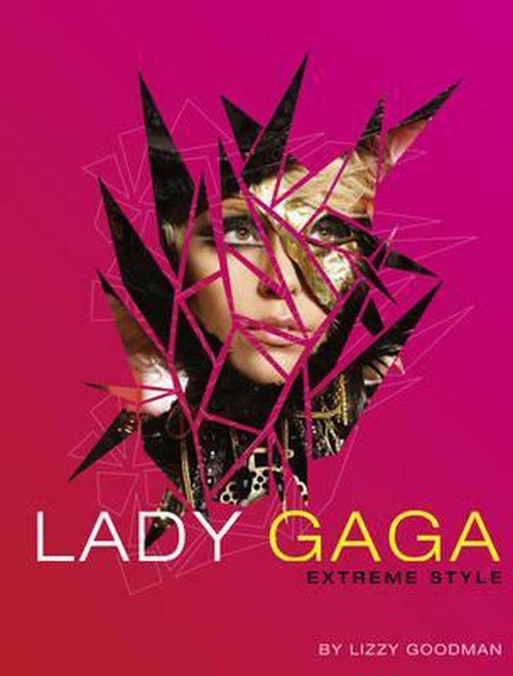Lady Gaga - Lizzy Goodman 9780007379019, Boeken, Taal | Engels, Gelezen, Verzenden
