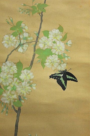 Pear Blossoms and Butterfly -  Takakura Kangai
