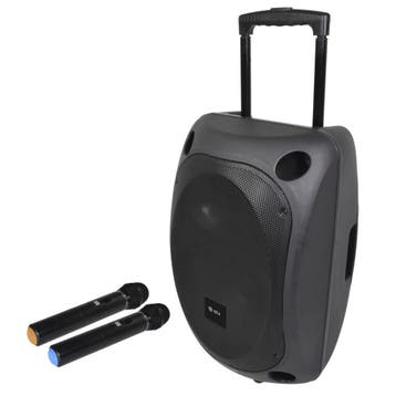 QTX QOVA 12 Draagbare Luidspreker Met 2 Microfoons USB SD BT, Verzenden, Nieuw, Overige typen