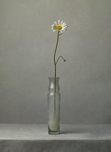 Tessa Posthuma de Boer - Daisy