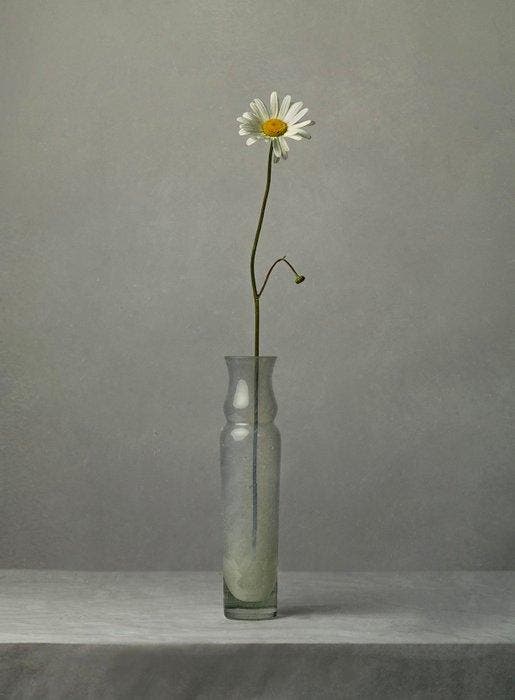 Tessa Posthuma de Boer - Daisy, Antiek en Kunst, Kunst | Designobjecten