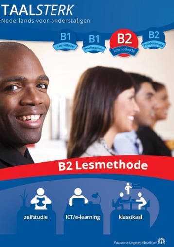 B2 / TaalSterk - Ina Panman 9789490807009, Verzenden, Gelezen, Ina Panman