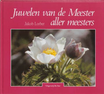 Juwelen van de Meester aller meesters - J. Lorber, Verzenden, Gelezen, J. Lorber