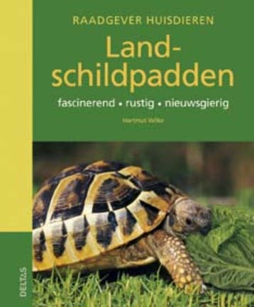 Landschildpadden / Raadgever huisdieren - Hartmut Wilke, Verzenden, Zo goed als nieuw, Hartmut Wilke