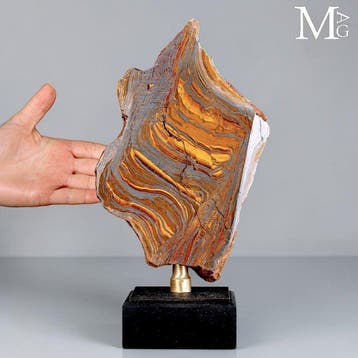 Levendig australisch Tiger Iron met gouden chatoyantie en