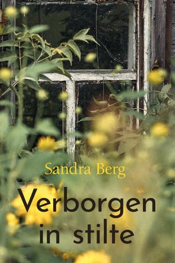 Verborgen In Stilte | Sandra Berg | Nieuw, Ophalen of Verzenden, Nieuw, Sandra Berg