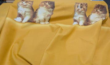 Dolcezza Felina su Cotone – Manifattura Calusiese -