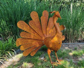 Beeldje - Rusty Peacock - IJzer, Metaal