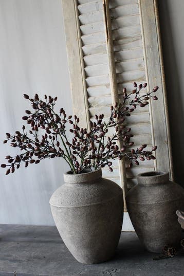 Brynxz Alnus / Rozenbottel tak brown 80 cm, Ophalen of Verzenden, Nieuw