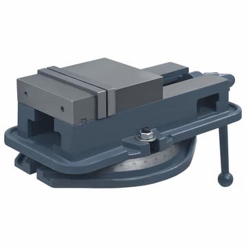 vidaXL Bankschroef draaibaar 160 mm gietijzer, Verzenden, Nieuw
