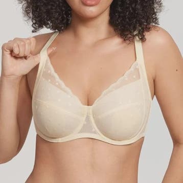 Elegante Kanten Minimizer Bh met Polkadot Dessin - Volledige, Verzenden