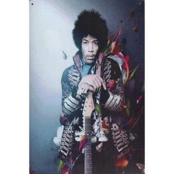 Wandbord - Jimi Hendrix In Full Colour, Ophalen of Verzenden, Nieuw