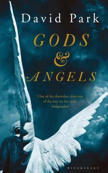Gods & Angels - David Park 9781408866078, Verzenden, Zo goed als nieuw, David Park