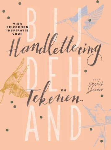 Bijdehand - Hyshil Sander 9789000347377, Verzenden, Zo goed als nieuw, Hyshil Sander