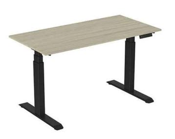 Ergonice Rise+ Elektrisch Zit-Sta Bureau, Werkplek, Ophalen of Verzenden, Nieuw in verpakking, Bureau