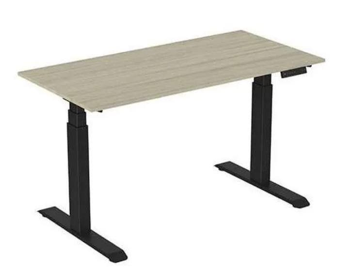 Ergonice Rise+ Elektrisch Zit-Sta Bureau, Zakelijke goederen, Kantoor en Winkelinrichting | Kantoormeubilair en Inrichting, Bureau