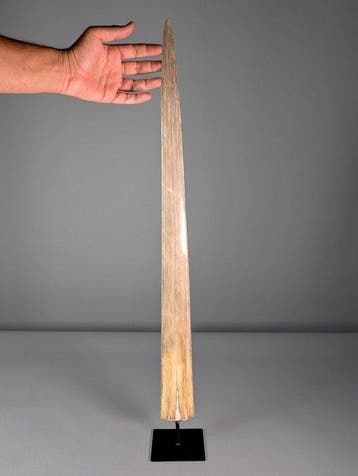 Zwaardvisrostrum Rostrum op een standaard - Xiphias gladius, Nieuw