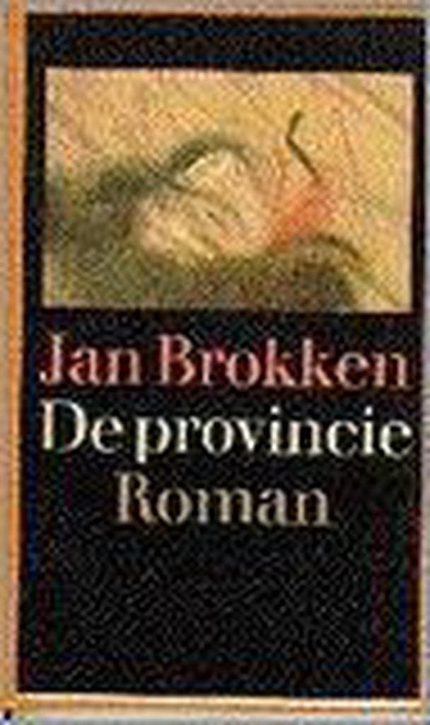 PROVINCIE - Brokken 9789029507905, Boeken, Romans, Gelezen, Verzenden