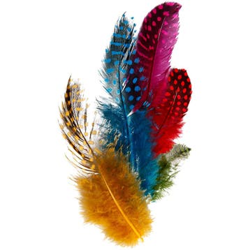 Veren van parelhoen, diverse kleuren, 3 gr/ 1 doos, Nieuw