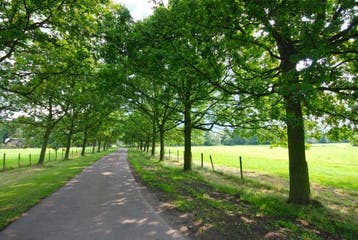 Te huur: Huis Buurtweg in Wassenaar, Wassenaar, Zuid-Holland