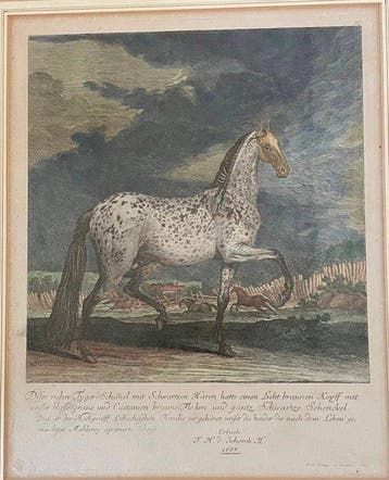 Johann Elias Ridinger (1698-1767) - 2 Original Kupferstiche
