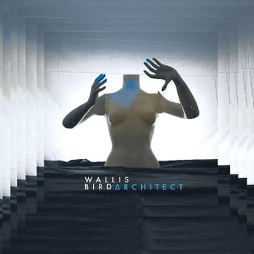 lp nieuw - wallis bird - ARCHITECT (nieuw), Verzenden, Zo goed als nieuw, Overige formaten