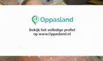 Annelies zoekt een oppas in Rotterdam voor 2 kinderen op...