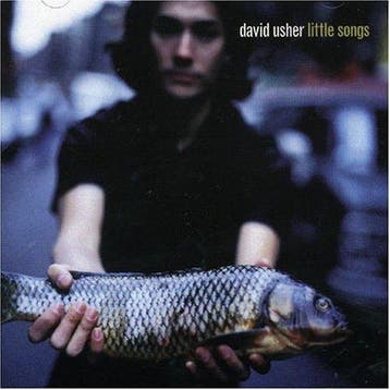 cd - David Usher - Little Songs, Verzenden, Zo goed als nieuw