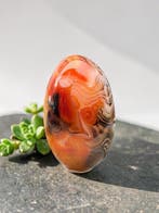 Sardonyx Agate Freeform – natuurlijk gepolijste steen uit