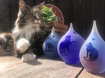 Op zoek naar mooie dierenurnen of huisdier gedenkartikelen?, Ophalen of Verzenden, Nieuw