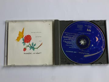 Adrian Snell - Beautiful ...or What?!, Ophalen of Verzenden, Zo goed als nieuw