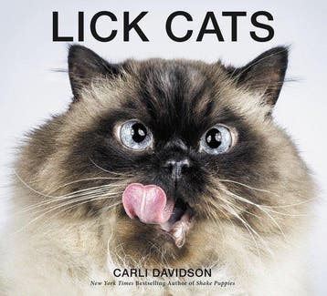 Lick Cats 9780062420343 Carli Davidson, Verzenden, Gelezen, Carli Davidson