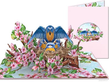 Vogelnest met Bluebird Pop-up Kaart (Sialia, Vogels & Ker..., Verzenden, Nieuw
