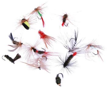 Ultimate Fly Selection 12pcs, Verzenden, Nieuw, Overige typen