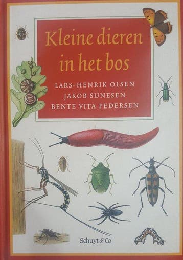 KLEINE DIEREN IN HET BOS - L.-H. Olsen 9789060974698, Verzenden, Gelezen, L.-H. Olsen