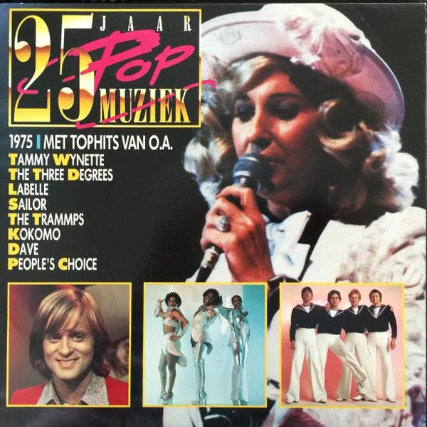 Various - 25 Jaar Popmuziek 1975, Cd's en Dvd's, Vinyl | Pop, Gebruikt, Ophalen of Verzenden