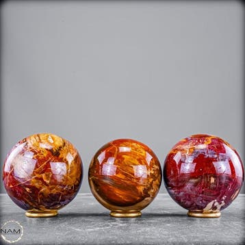 Exclusieve set van versteend hout uit Madagaskar – Tijdloze