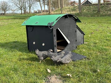 Kunststof Kippenhok - Nestera Medium Grondmodel  - Afhalen, Ophalen of Verzenden, Nieuw