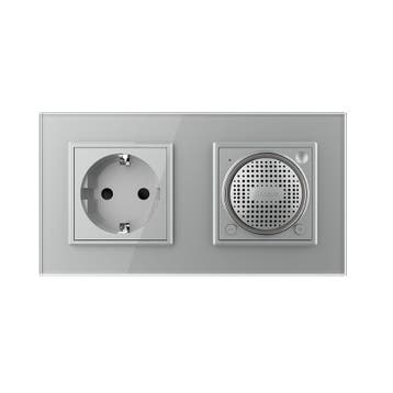Livolo | Grijs | SR+SR | Wandcontactdoos | Bluetooth speaker, Ophalen of Verzenden, Nieuw