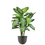 Dieffenbachia kunstplant, H115cm, Ophalen of Verzenden, Overige soorten, 100 tot 150 cm