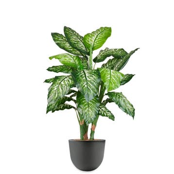 Dieffenbachia kunstplant, H115cm, Huis en Inrichting, Kamerplanten, Ophalen of Verzenden, Overige soorten, 100 tot 150 cm