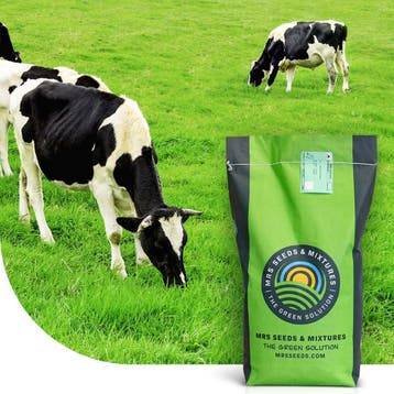 MRS Seeds & Mixtures Graze - BG3 | Blijvend Grasland 15KG, Ophalen of Verzenden, Nieuw