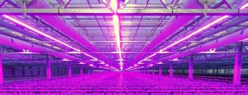 10 meter 114W LED power groeistrip assimilatie en stuurl..., Nieuw