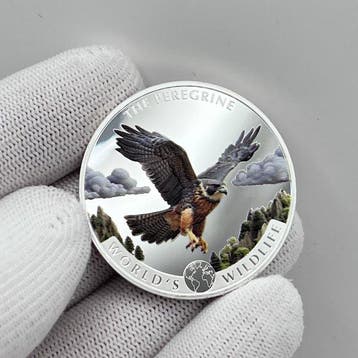 Congo. 20 Francs 2024 – Peregrine Falcon (Wanderfalke) – 1