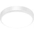 LED Plafondlamp met Sensor + Dag en Nacht Sensor - Brinton, Ophalen of Verzenden, Nieuw, Kunststof