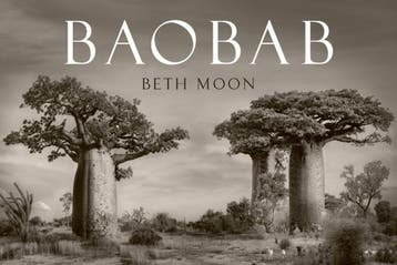 Baobab, Verzenden, Nieuw