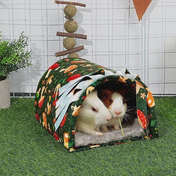 Wasbare Cavia Tunnel met Gordijntjes - Knus Holletje voor Ha, Verzenden, Nieuw