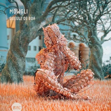 cd - mowgli - GUEULE DE BOA (nieuw), Verzenden, Zo goed als nieuw